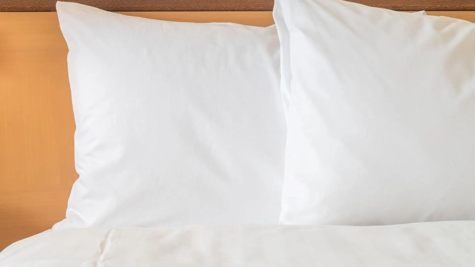 Crowne Plaza Maastricht By Ihg Hotell